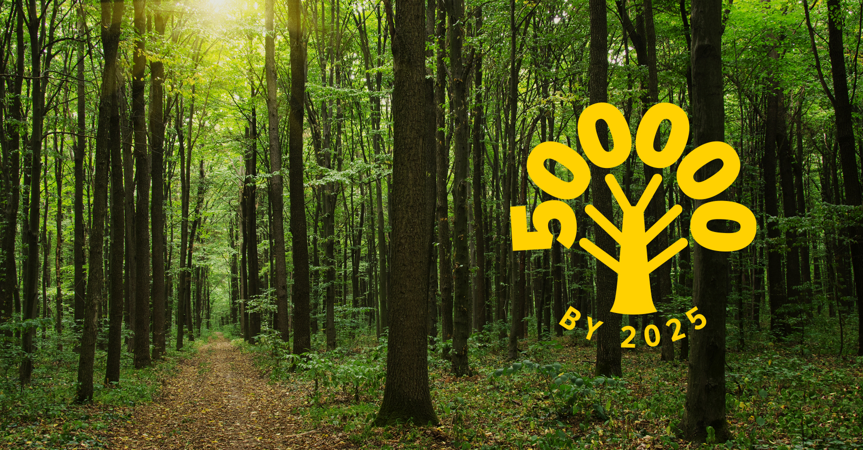 Quest Global 500000 trees pledge