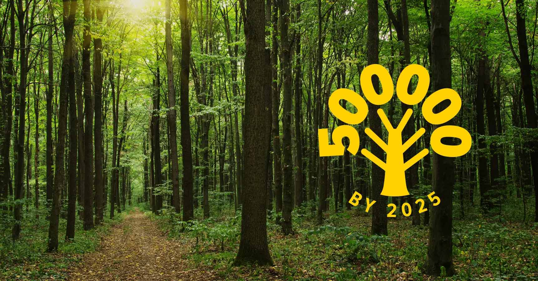 We pledge to plant 500,000 trees globally by 2025